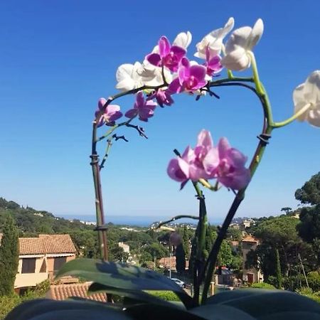 Hameau Du Soleil Apartment Cavalaire-sur-Mer Luaran gambar